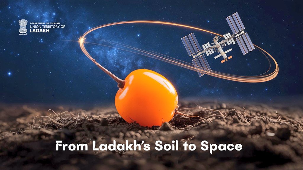 Ladakh’s Seabuckthorn and Himalayan Buckwheat Seeds complete Space Mission; Return to Earth for Mars Farming Research