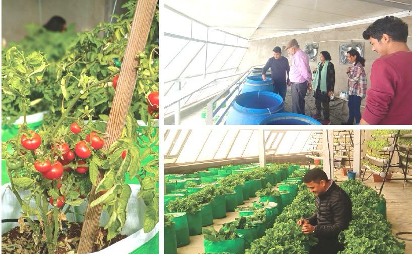 ‘Faecal Sludge Treatment Model’ paves way for climate-resilient farming in Ladakh