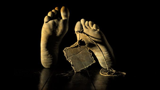 Two Army porters found dead in Gulmarg after night-long search operation