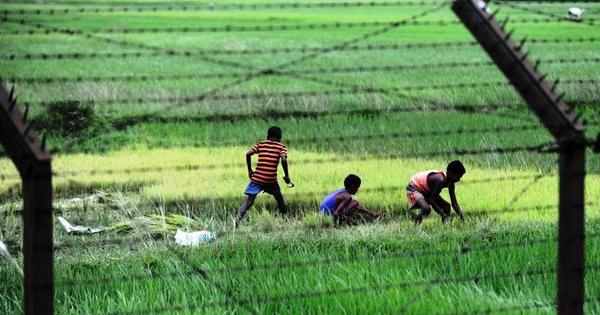 Assam CM: 12 Bangladeshi Illegal Immigrants ‘Pushed Back’