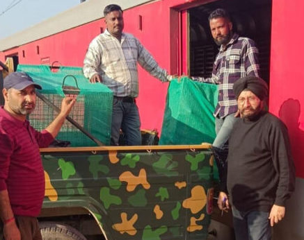 Jammu Division Makes History: Rare Zoo Animals Travel 2,800 km by Train to Chennai
