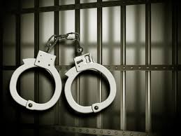 Man apprehended for stealing idols from temple in Delhi’s Burari
